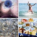 vafop1993-03-syllogi1