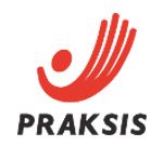 praksis