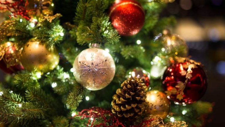 Ξενώνας Φιλοξενίας κακοποιημένων γυναικών του Δήμου Θεσσαλονίκης