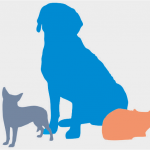 dog-cat