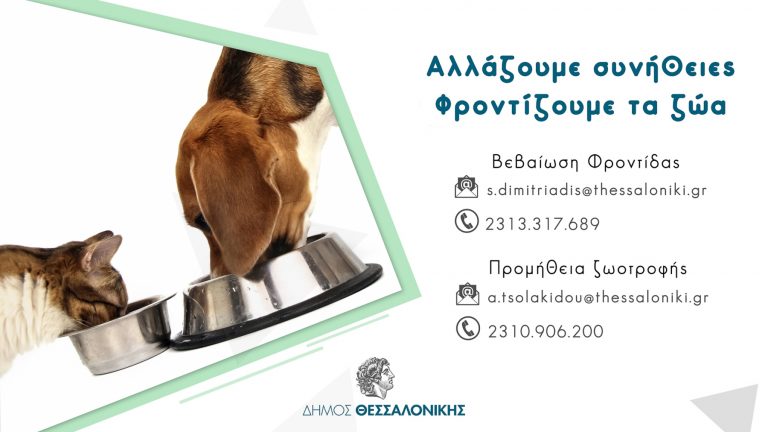Ο Δήμος Θεσσαλονίκης μεριμνά για τη σίτιση των αδέσποτων ζώων κατά τη διάρκεια των περιοριστικών μέτρων