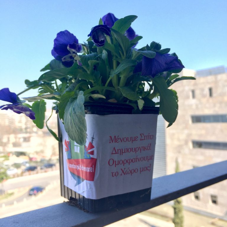 Με γλαστράκια και λουλούδια στα σπίτια των κατοίκων ο Δήμος στέλνει το μήνυμα «Μένουμε Σπίτι»