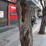 55 Νο1 Υφαντίδη γωνία