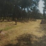 Λουτρά Ι