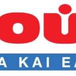 Masoutis_Oikonomika_Logo_rgb_page-0001