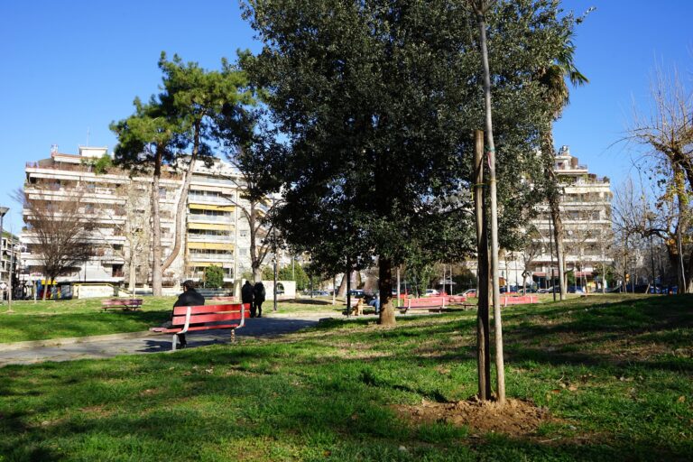 Αλλάζει όψη η οδός Κρήτης – Αναβαθμίζεται το πράσινο με 250 νέες δενδροφυτεύσεις