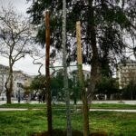 ΔΕΝΔΡΟΦΥΤΕΥΣΗ 3