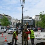 ΔΕΝΤΡΑ 4