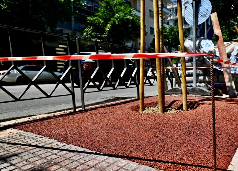 Νέες δενδροδόχοι στον άξονα της Τσιμισκή με υλικά που αναβαθμίζουν τον δημόσιο χώρο και ευνοούν την ομαλή ανάπτυξη των νεοφυτεμένων δέντρων