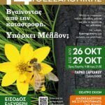 GiortiMeliou_2023_Afissa