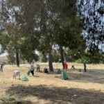 thumbnail_IMG_2241