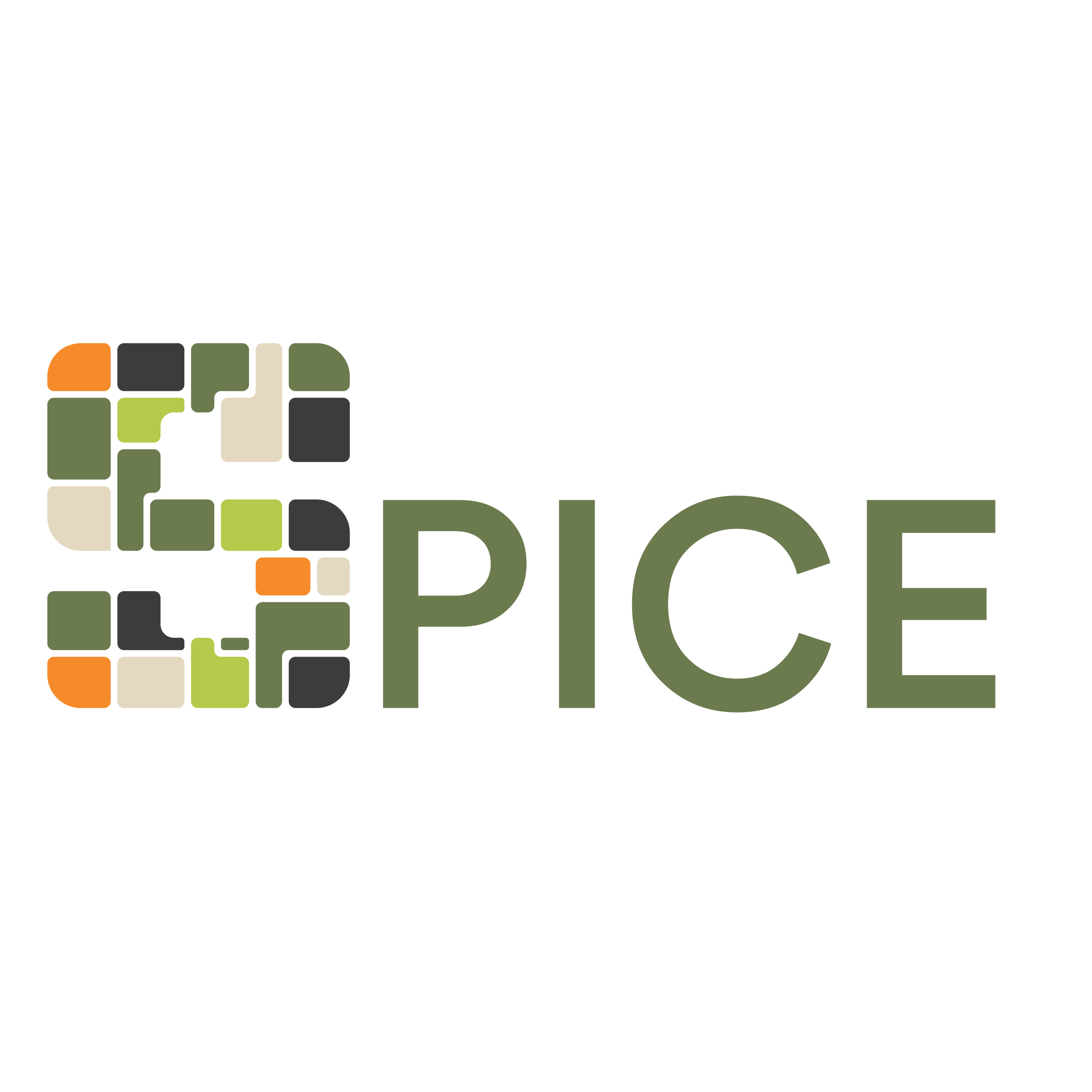Spice Logo-05 (1)