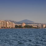 DSC_8729 1 (1)